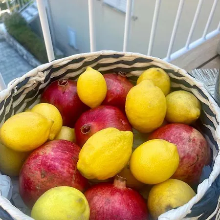 Luxury Penthouse Avalon * 챠브타트