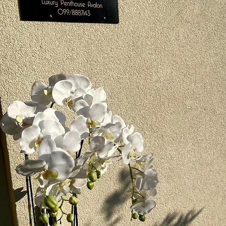 Luxury Penthouse Avalon *